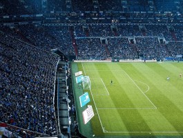 关于ayx游戏官网入口的信息